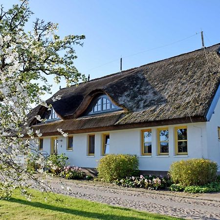 Ferienwohnungen Im Fischerdorf Und Neu Reddevitz Zewnętrze zdjęcie