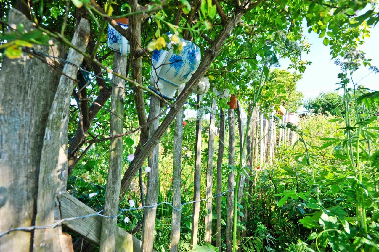 Ferienwohnungen Im Fischerdorf Und Neu Reddevitz Zewnętrze zdjęcie
