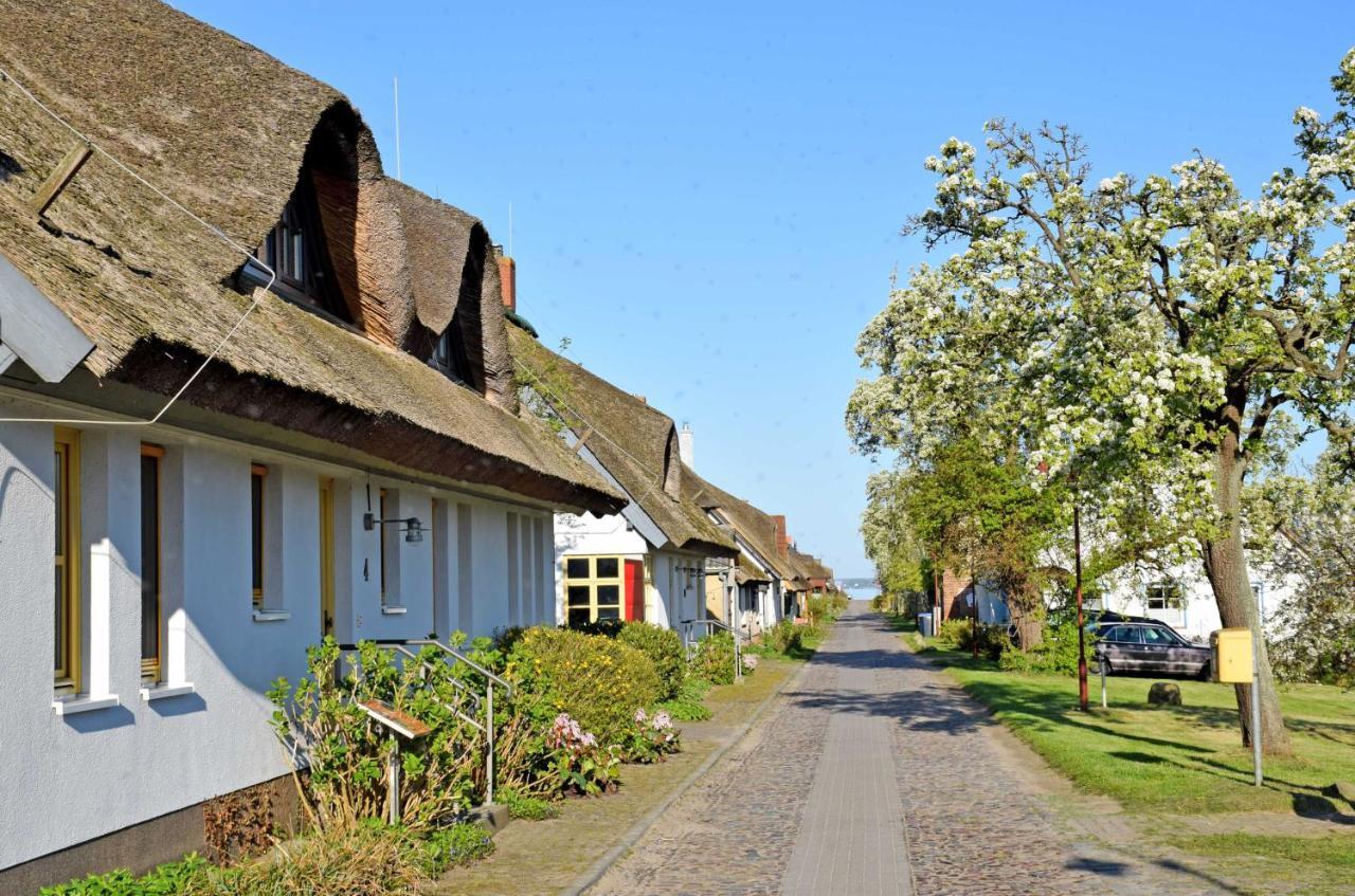 Ferienwohnungen Im Fischerdorf Und Neu Reddevitz Zewnętrze zdjęcie